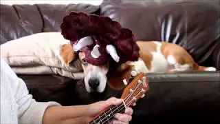 Barkley The Basset Jurassic Bark