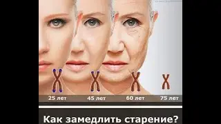 Долголетие Для Скептиков. #долголетие