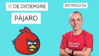🦤PÁJARO, expresiones en ESPAÑOL muy interesantes. 11/12 #etimología
