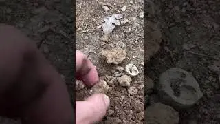 Good Signal with my metal detector leads to a Union Civil War Bullet #metaldetecting #metaldetector