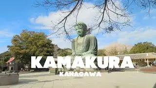 The Best Beach Town Near Tokyo | Japan Solo Trip | Kamakura