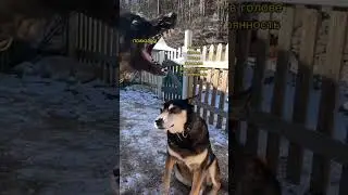 работаем