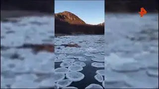 В Мурманской области образовались ледяные блинчики.