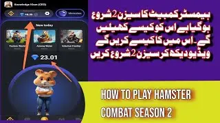 How To Play Hamster Combat Season 2 Watch and Start Your Earning