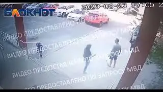 В Волгограде мужчина выстрелил в собаку