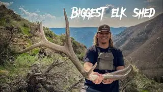 My Biggest Elk Shed | High Country Elk Sheds |