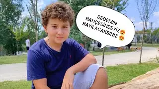 DEDEMİN BAHÇESİNDEN SEBZELER TOPLUYORUZ. ( Bakalım neler varmış)