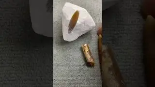 Что хранит мел?)