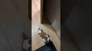 Суетолог /ч.1  (полное видео уже в ТГ)
