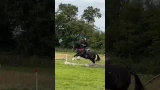 Training my horse gambler to jump #horse #equines #equestrian #horsejumping #horseriding