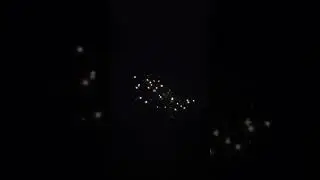 Салют Р7491 "Снежный барс"