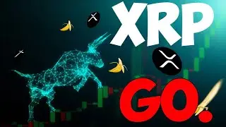 Ripple XRP NOW MY HEART IS RACING I FEEL IT IN MY BONES WE ARE GOING BANANAS SOON!!!