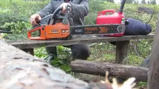 Бензопила CARVER - испытание лесом .