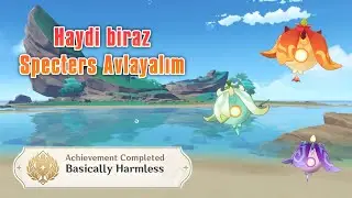 Basically Harmless / Genshin İmpact / Gizli Başarım / 2.5 Achievement