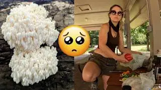 Illinois: Mushroom Cooking Disasters | Allergic to Bears Head?!