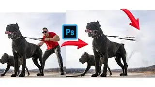 Remove Fence with 3 Simple Steps in Photoshop!
