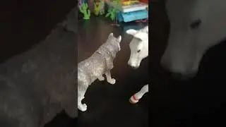 Жизнь волков 2 🐺 1 часть