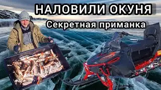 БЕШЕНЫЙ КЛЁВ КРУПНОГО ОКУНЯ