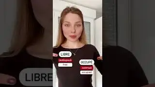 Бесплатные уроки французского для начинающих 