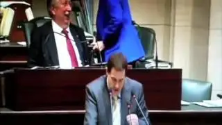 Belgischer Abgeordneter Laurent Louis