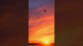O TAMANHO DO SOL