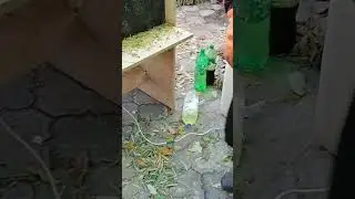 Окорочный станок для окариванья лозы