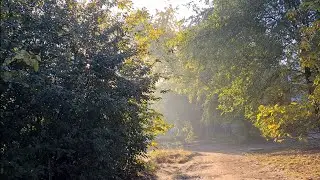 Запорожье 19. 10. 2023 ДЕРЕВНИ БОЛЬШЕ НЕТ ....
