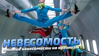 ЧТО БУДЕТ С ТЕЛОМ ЧЕЛОВЕКА В НЕВЕСОМОСТИ / ВЛИЯНИЕ НЕВЕСОМОСТИ НА ОРГАНИЗМ