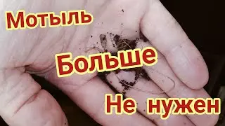 МОТЫЛЯ И ЧЕРВЯ БОЛЬШЕ НЕ ПОКУПАЮ.ОТЛИЧНАЯ АЛЬТЕРНАТИВНАЯ НАСАДКА ДЛЯ РЫБАЛКИ. ЛАЙФХАК ДЛЯ РЫБАЛКИ