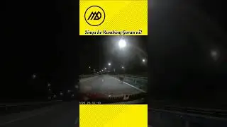#Shorts 44 | Mcm pelik je kambing ni #safetydriving #educationvideo