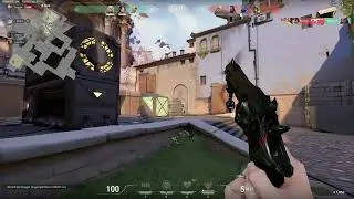 Collateral Damage