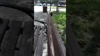 ????