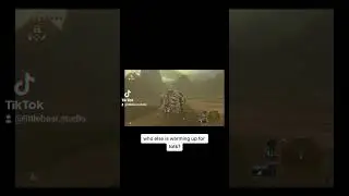 #botw