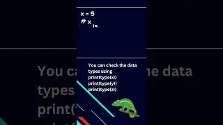 Dynamic Typing in Python | 