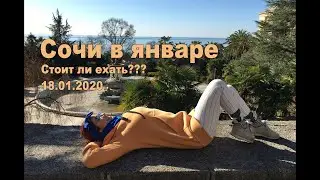 Сочи в январе, стоит ли ехать? Библиоглобус, Сочи парк отель.