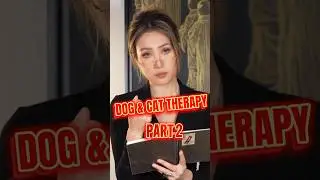Therapists be like (1)   #tiktok #cat #dog