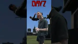 DAYZ WHEN YOU FALL