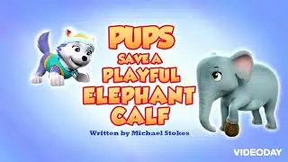 Pups Save A Elephant Calf Rant