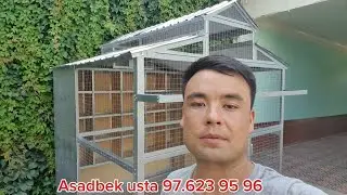 KAPTAR KATAK