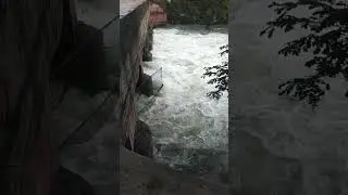 #waterfall #dam #ap #short #ytshort