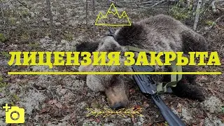 Медведь на приваде. Финал