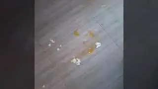 Levei ovada na escola ?
