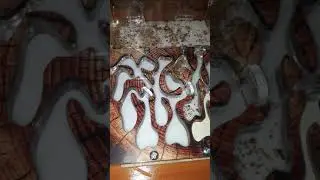 муравьиная ферма в доме
