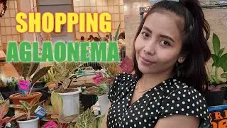 Plant Exhibition // Shopping Aglonema di Mall