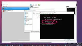 [44] Отсутствие IP адреса и возможное решение в VirtualBox