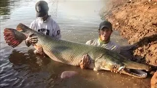 FISHING JURASSIC RIVER 147 MILLION YEARS IN THE PAST