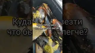 Добрался до бесплатного🤣