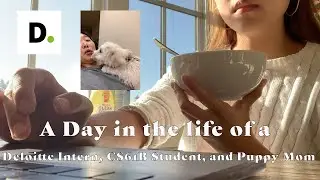 A Day in the Life of a Deloitte Intern, CS61B Student, and Puppy Mom