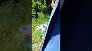 Gogos la extras de  Rapita 2021