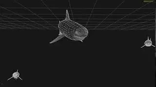 Shark movement RnD - Houdini procedural animation